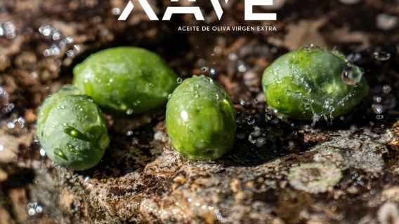 Comienza la recolección. Acompañanos y vive la experiencia