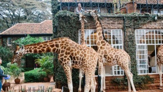 Найроби: Фабрика бисера Казури Центр жирафов Карен Бликсен