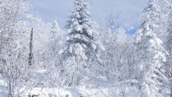 長白山仙峰雪嶺景區+老里克湖一日遊【獨立包車/一單一車】