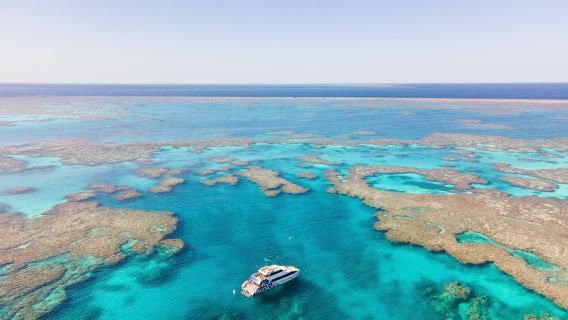 Great Barrier Reef Snorkeling Tour in Australia [Professional Diving Boat/Departing from Two Ports/Includes Equipment + Meals]