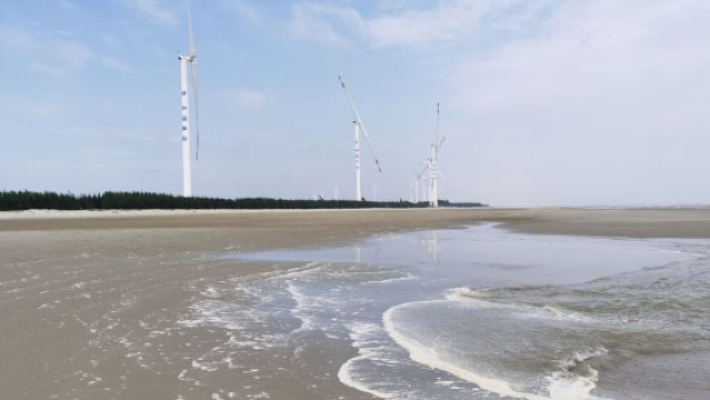 lawatan sehari di Guangdong|Hai, Zhanjiang [sewaan peribadi 8 jam]