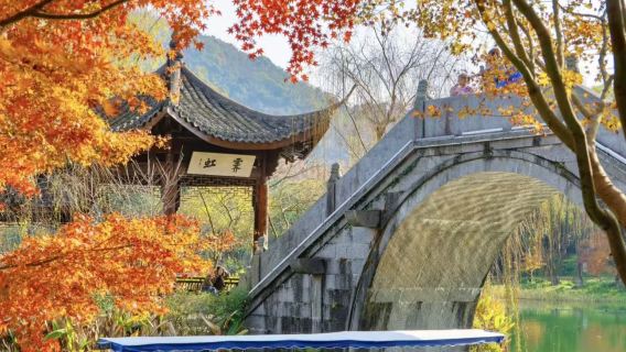 【私家小團含車】杭西湖搖櫓船船+避開人潮遊湖+南宋下午茶一日