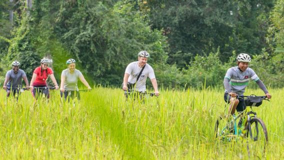 Siem Reap: Countryside Bike Tour
