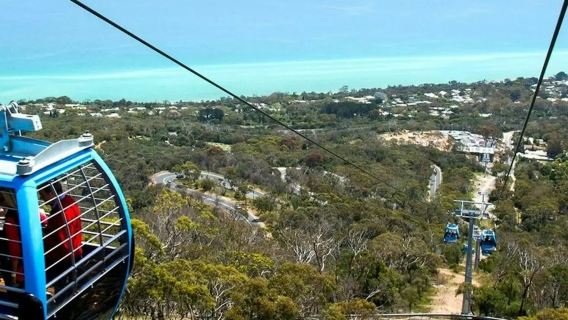 モーニントン半島：アーサーズ・シート・イーグル・ゴンドラのチケット
