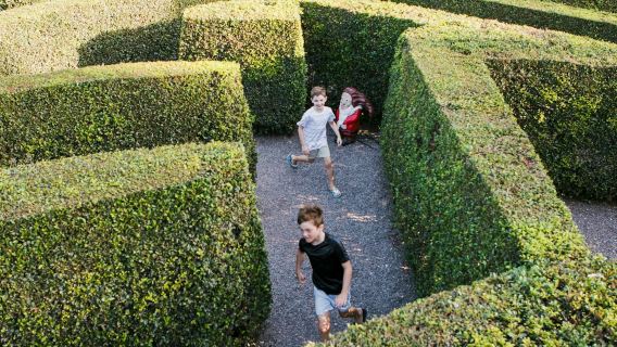 Amaze World Sunshine Coast: Eintrittskarte