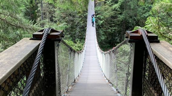 Vancouver: Guided Rainforest Hike with Waterfalls & Suspension Bridge + Transfer