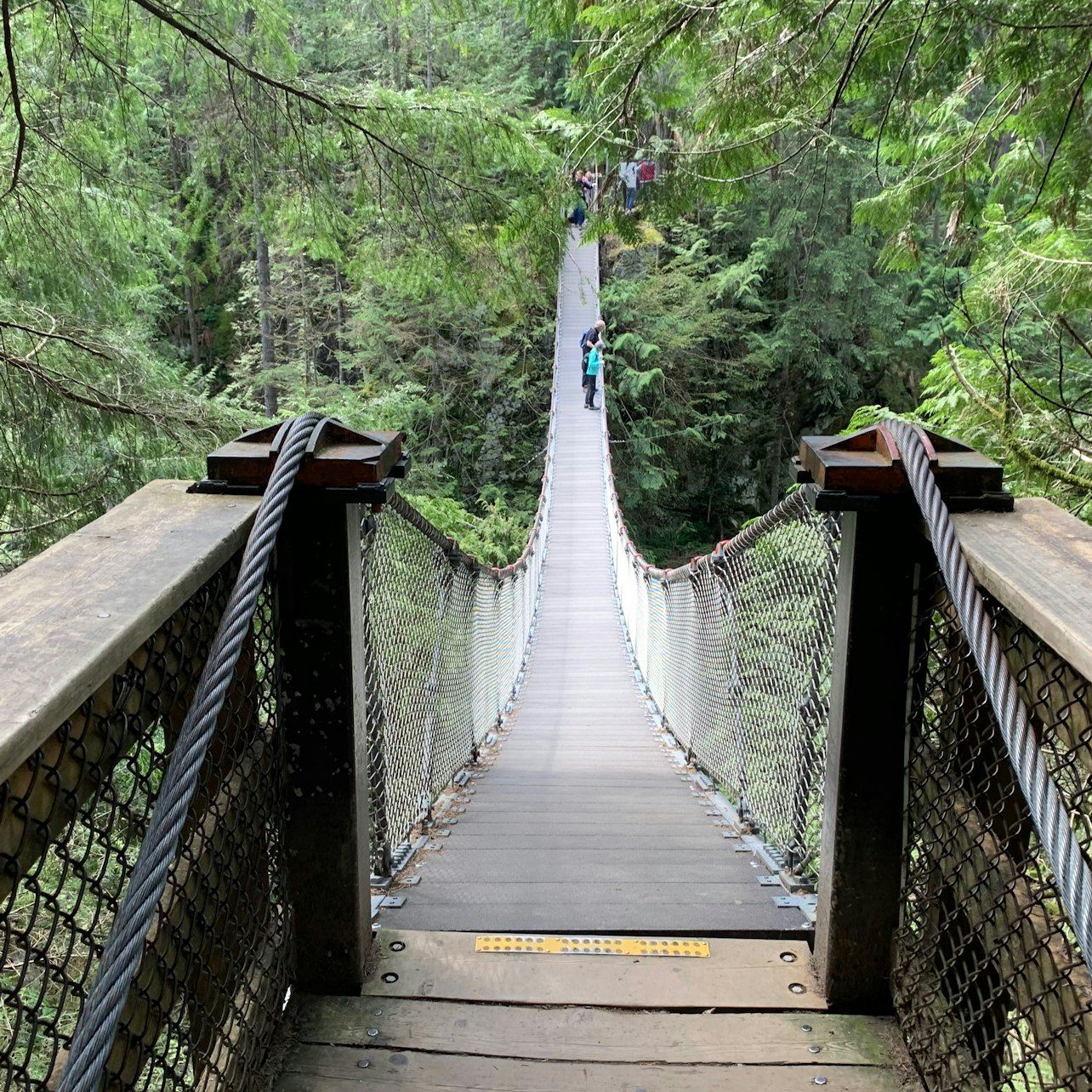 Vancouver: escursione guidata nella foresta pluviale con cascate e ponte sospeso + trasferimento
