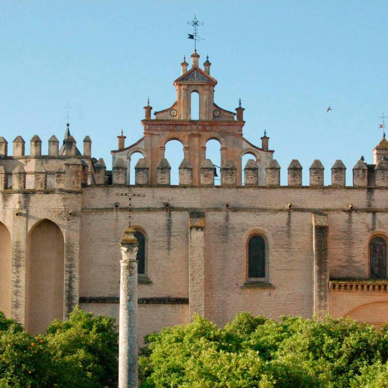 Monasterio San Isidoro del Campo: Visita Guiada