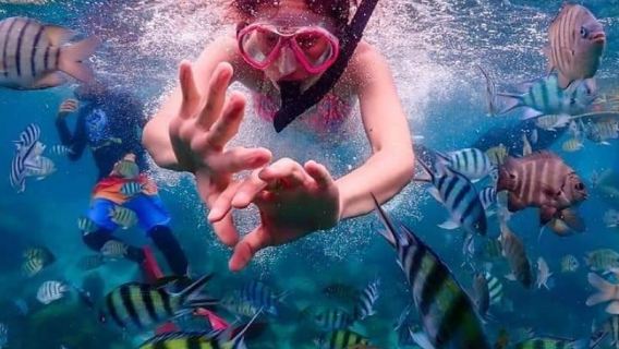 Tour di un giorno a Ko Lan da Pattaya, Thailandia [include trasferimento dall'hotel + crociera in barca + varie attività opzionali]