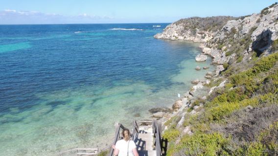 Excursión a la isla Rottnest (isla de los ratones) en Perth, Australia Occidental, con opción de billete de barco y autobús, incluyendo la tarifa de acceso a la isla.