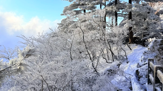 黃山一日遊｜四程纜車 + 核心景點全覆蓋 + 上門接送