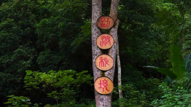 [Premium Limited to 50 Guests] Mengbo Secret Rainforest Hiking + ATV Off-Road Adventure in Xishuangbanna