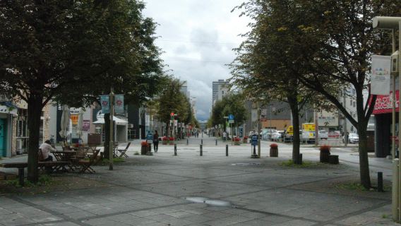 Pemesanan setelah konsultasi/Taman Asahikawa, Taman Shingyokotan Tokiwa, Pertanian Ueno, Taman Sake Otokoyama/Bandara/Layanan transportasi titik ke titik/Pemandu wisata/Layanan mobil pribadi