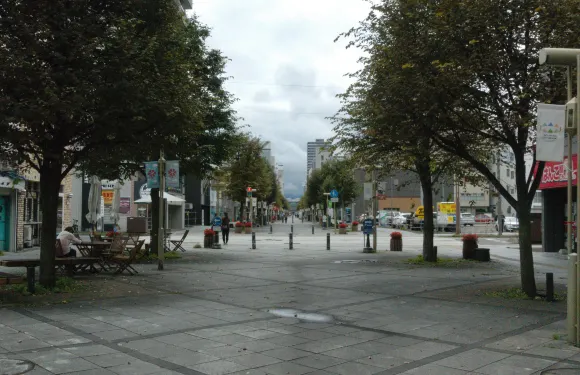 諮詢後下單/日本旭川動物園神劇古潭常磐公園上野農場男山清酒公園/機場/點對點用車/旅遊旅行司導/專車服務