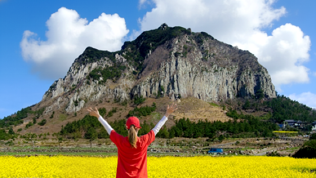 South-West Jeju Essentials: Hallasan & Signature Highlights