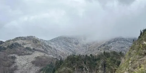 朱雀國家森林公園一日遊【高山草甸,冰晶頂,我們出發吧】