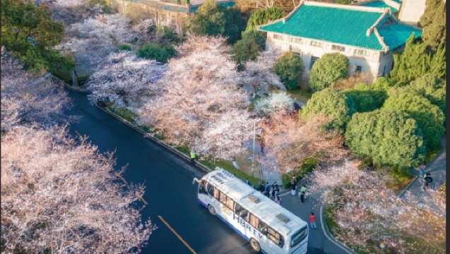 【春日限定】黃鶴樓+省博+櫻花園+武漢大學一日遊 可升級親子私人導覽