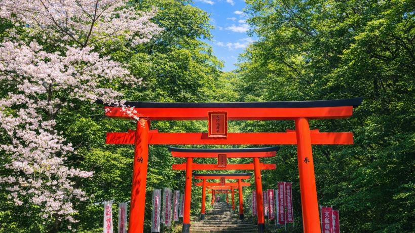 Yanagawa Island One-Day Tour