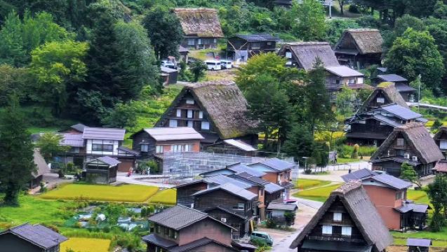 1-day tour to Takayama City & Shirakawa-go Gassho Village - Departing from Nagoya & Takayama City | Access to observation deck
