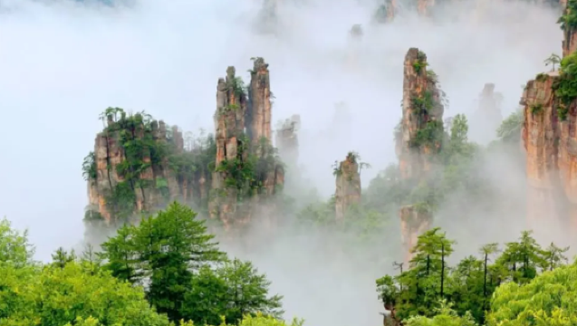Hunan Province - Changsha, Zhangjiajie, Jishou, Yueyang, Hengyang | Multilingual professional guides | Conference interpretation | Business inspection interpretation | Customized travel private charter | Airport pick-up/drop-off