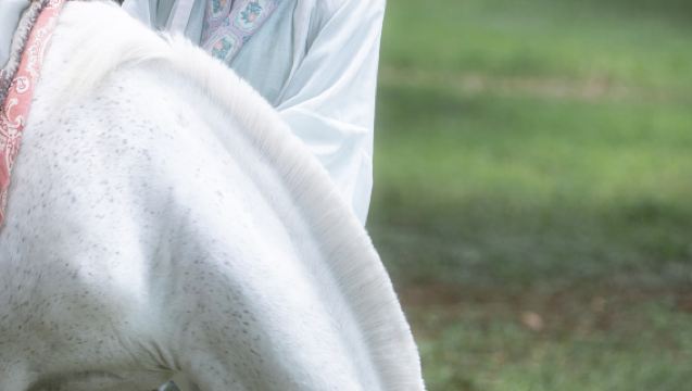 Trip Moments en Laishui[Fotógrafo y videógrafo a domicilio para sesiones con drones, fotos, cortometrajes, vídeos promocionales, fotografía de bodas y álbumes fotográficos con entrega de todos los negativos]