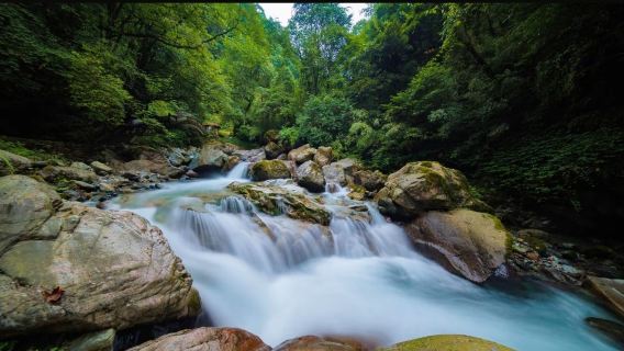 【2-8人獨立團】西嶺雪山大飛水景區-含門票-純玩無購物