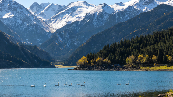 Gunung Salji + Hutan + Padang Rumput + Tasik || Lawatan sehari Urumqi Tianshan Grand Canyon