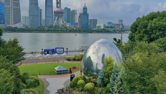 Tour guidato privato di un giorno a Shanghai | Lujiazui/Oriental Pearl Tower/Giardino Yuyuan/Tempio Jing'an/Disneyland, ecc.