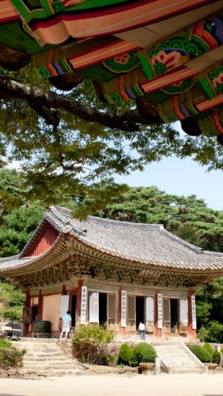 [근교/서울] 강화도 갯벌 막걸리 양조장 프라이빗 당일 투어(가이드 포함)