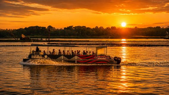 Savannah : Croisière écologique pour observer les dauphins au coucher du soleil