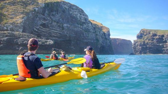 Akaroa: 4WD Safari and Guided Sea-Kayaking Experience
