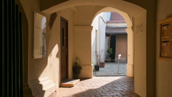 2-Hour Buda Castle Walking Tour - Walk with a Historian