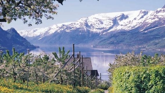 Bergen: Hardangerfjord, Eidfjord & 3 Thác nước Lớn