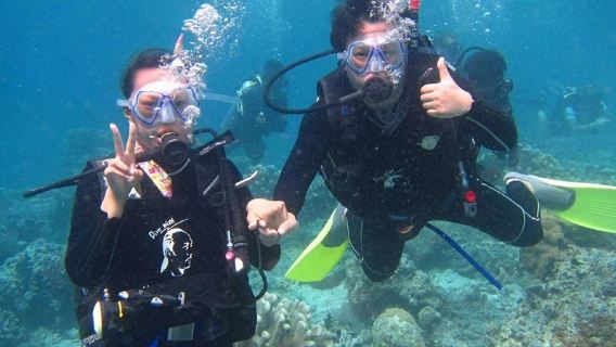 10-Hour PADI Certified Diving and Freediving in Phuket's Racha Yai Island, Phi Phi Islands, and Racha Noi Island, Thailand