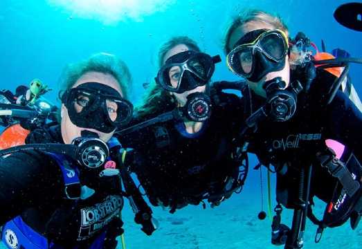 Phuket Racha Yai Island and Phi Phi Islands Discovery Diving Guide