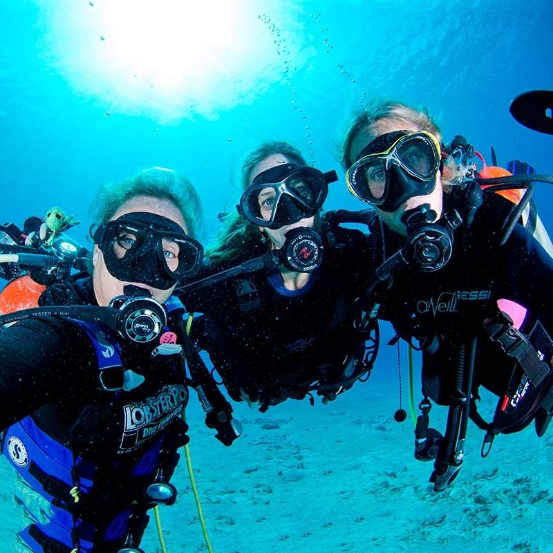 Esperienza di immersione subacquea di 5 ore alle Isole Phi Phi e all'isola Racha a Phuket, Thailandia [Barca subacquea professionale]|Immersion subacquea sull'isola|Immersione dalla barca|Foto subacquee]