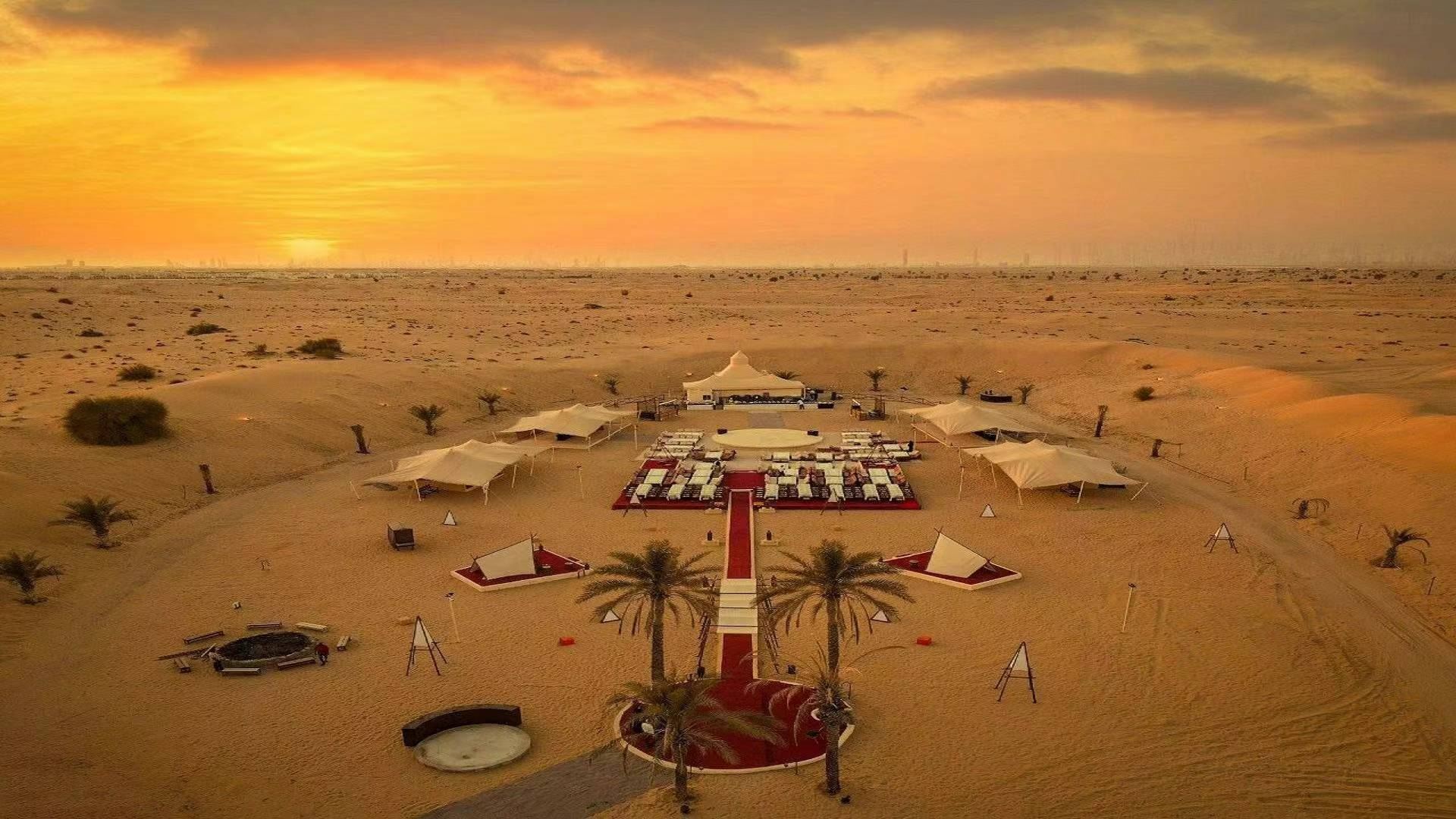 Desert Safari in Dubai with Camp Experience + Hotel Transfer + Dinner + Falcon Interaction + Camel Riding + Show
