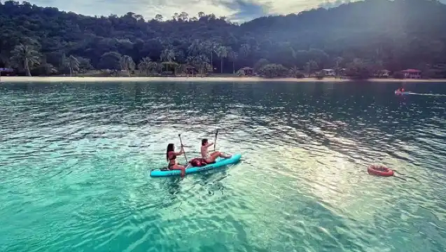 Langkawi Mangrove Tropical Rainforest|Double kayaking + mangrove forest + wildlife spotting with scenic views