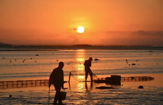 霞浦一日遊【縣城出發可選小團包車景點任選/看醉美日落海岸線】