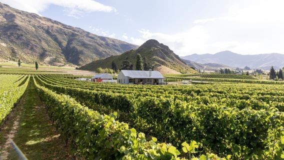 Queenstown