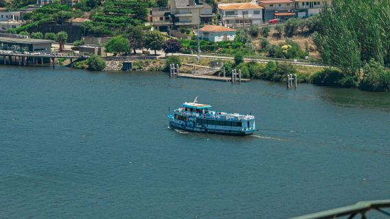Vallée du Douro : Croisière + Déjeuner au départ de Régua
