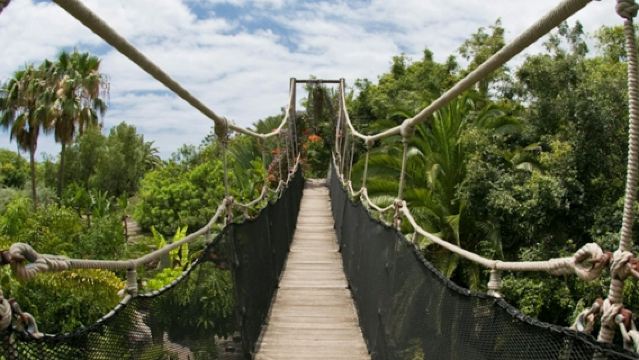 Jungle Park: Tiket Masuk