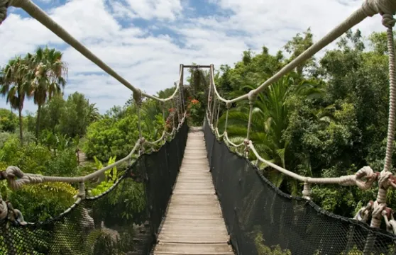 叢林公園：門票