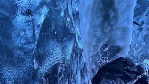 ReykjavikTours