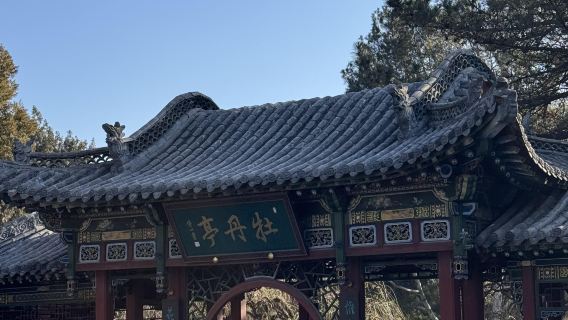 однодневный тур с услугами на китайском и английском языках в Музей фресок династии Северная Ци в Тайюане, Восточный озера Вонг, Храм Цуан Тау и Чунг-Бунг-Бунг