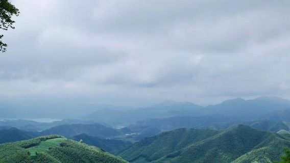 德清日遊