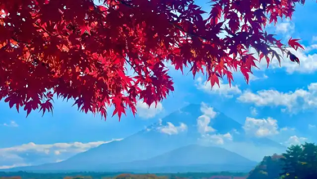 東京富士山+精進湖+山中湖+河口湖一日遊,天梯小鎮,忍野八海