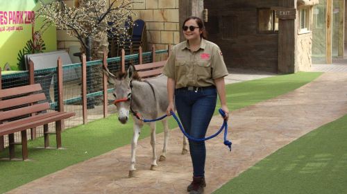 Abu Dhabi Attraction: Emirates Park Zoo Abu Dhabi Day Tours 5