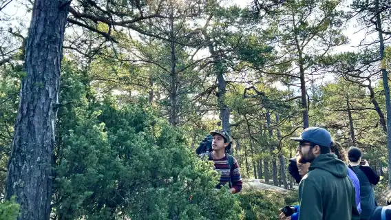 Archipelago excursion from Helskinki