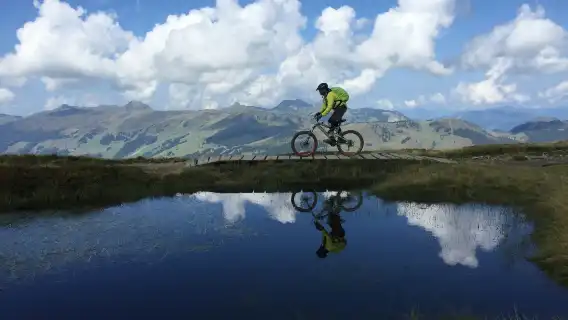 Salzburg: City and Countryside Mountain Bike Tour